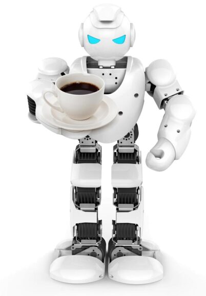 de toekomst van de boekhouder