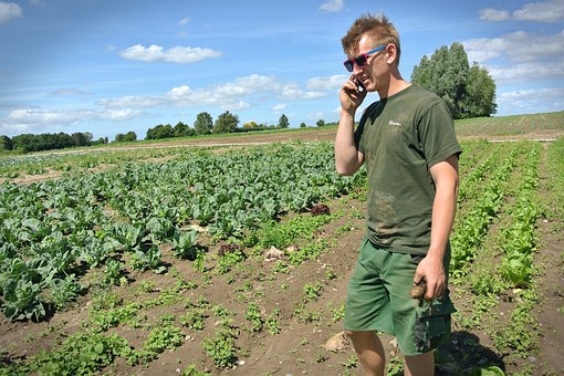 Aanvraagloket opent voor steun jonge landbouwers